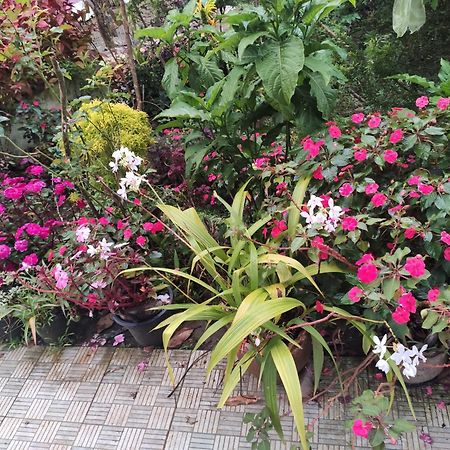Soly'S Villa Homestay Munnar Buitenkant foto
