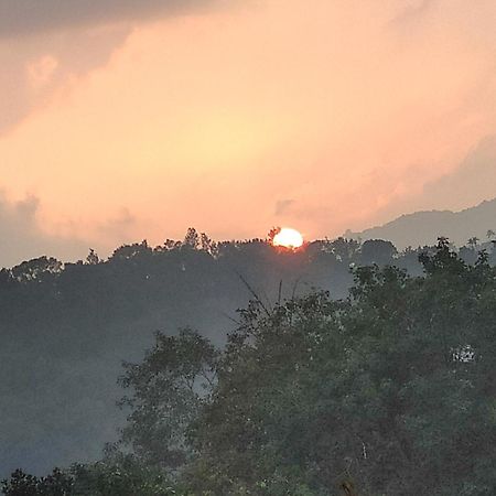 Soly'S Villa Homestay Munnar Buitenkant foto