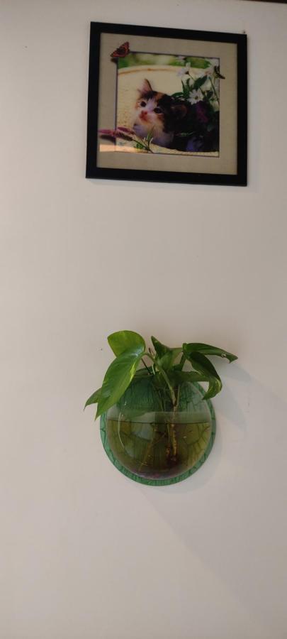 Soly'S Villa Homestay Munnar Buitenkant foto