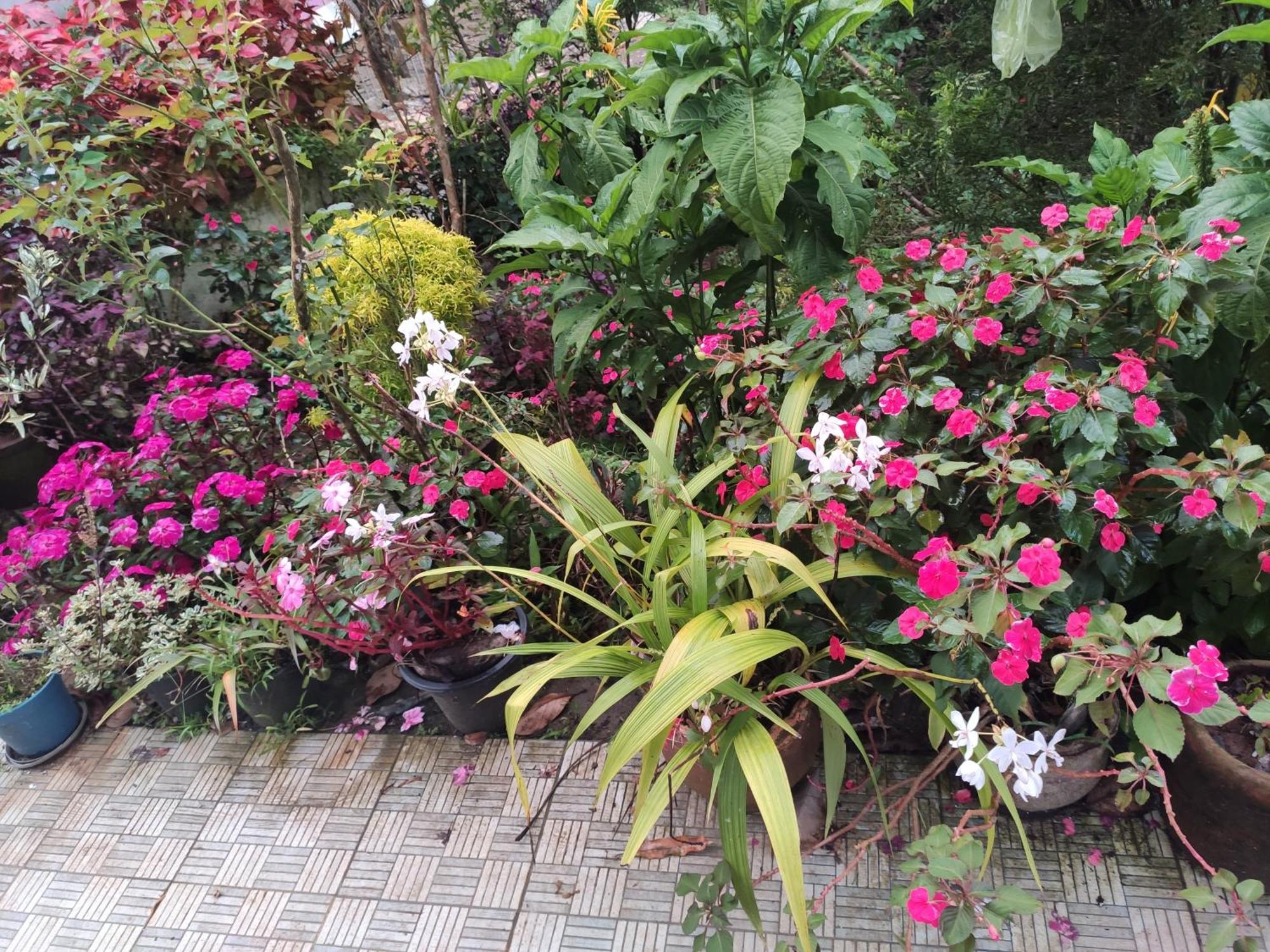 Soly'S Villa Homestay Munnar Buitenkant foto